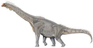Brachiosaurus: El Gigante de Cuello Largo del Jurásico