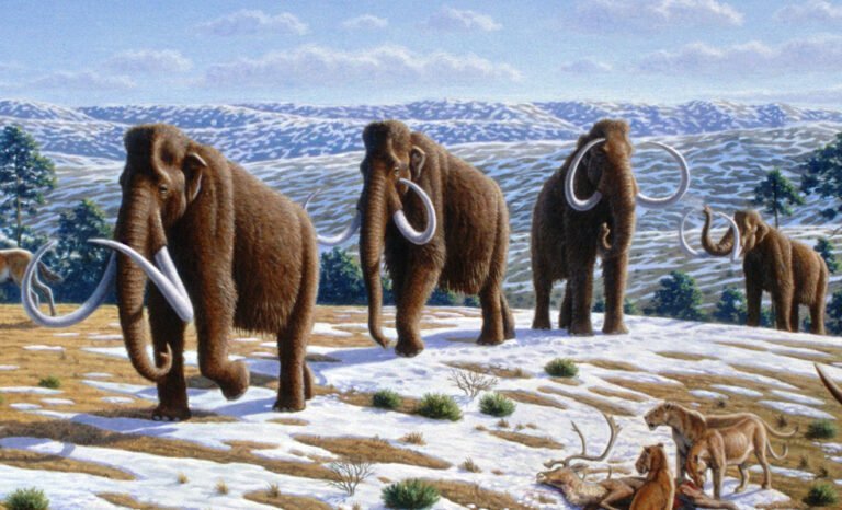 Animales Extintos