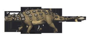 Ankylosaurus: el dinosaurio acorazado con maza en la cola