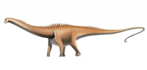Diplodocus: el saurópodo de cuello largo y cola de látigo del Jurásico