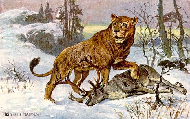 Reconstrucción del león de las cavernas (Panthera spelaea), el mayor felino de la prehistoria europea