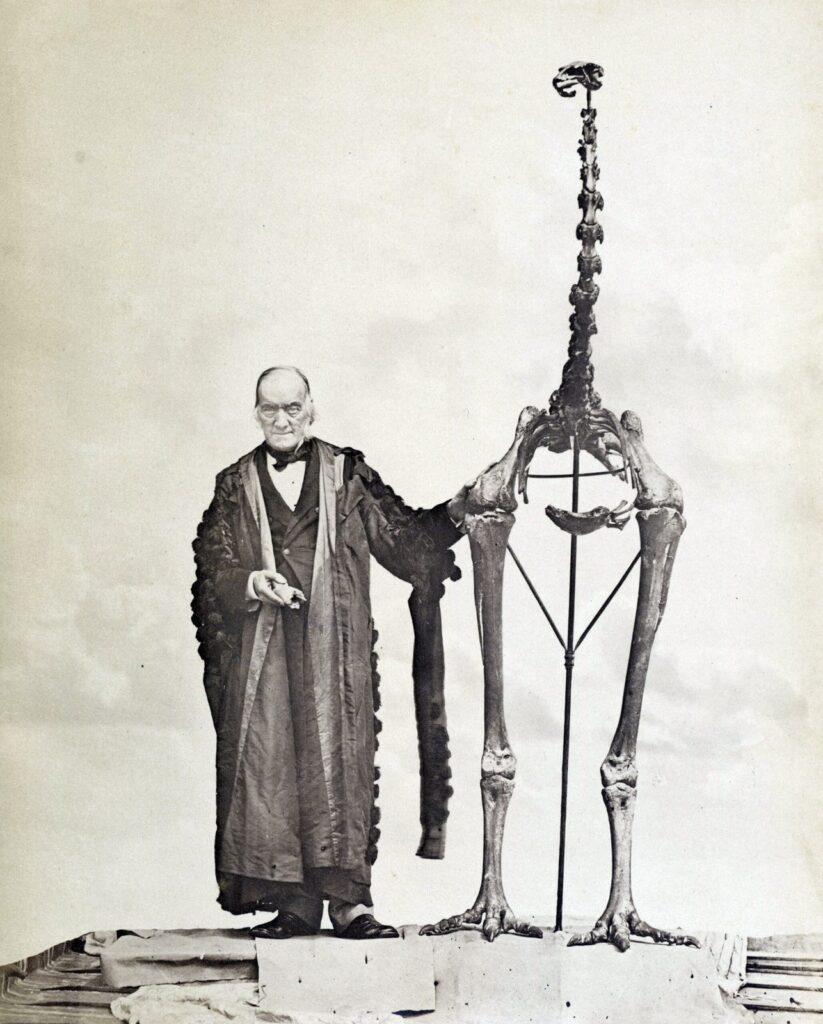 Richard Owen, el paleontólogo que describió al moa en 1839, posando junto a un esqueleto reconstruido del gigante Dinornis novaezealandiae.