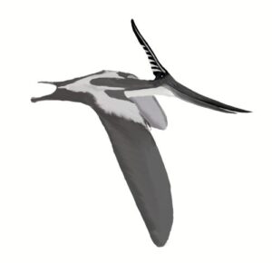 Pteranodon: el reptil volador gigante con cresta del Cretácico